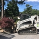 Bobcat Skid Steer