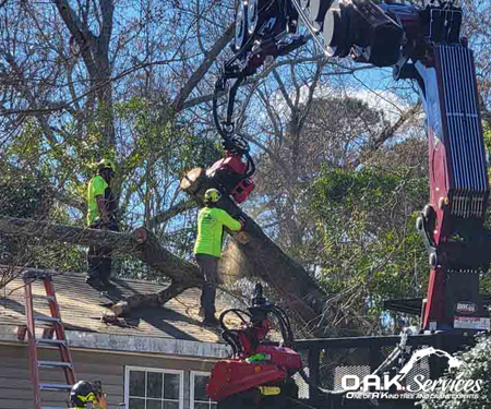 24hr emergency tree service Valdosta, GA