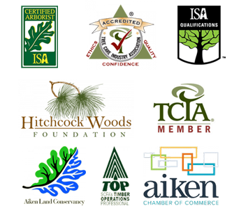 certified tree service company in Aiken, SC