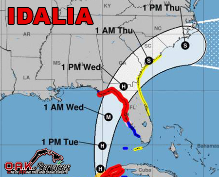 Hurricane Idalia Tree Damage Cleanup
