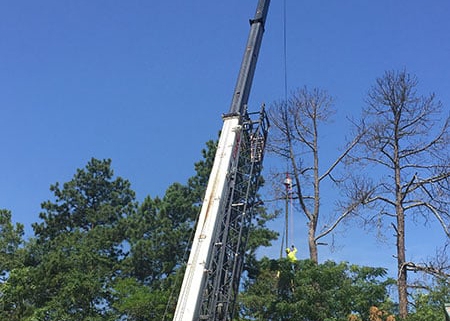 Large Tree Crane Aiken SC