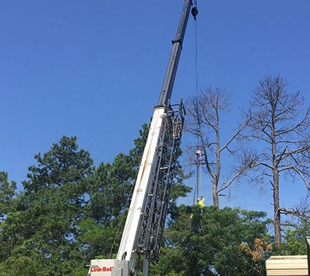 Large Tree Crane Aiken SC