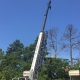 Large Tree Crane Aiken SC