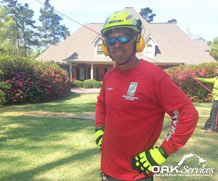 about our Arborist Aiken, SC