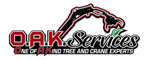 OAK Services Logo - Official