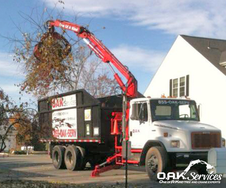 Tree Debris Hauling & Removal - Aiken SC