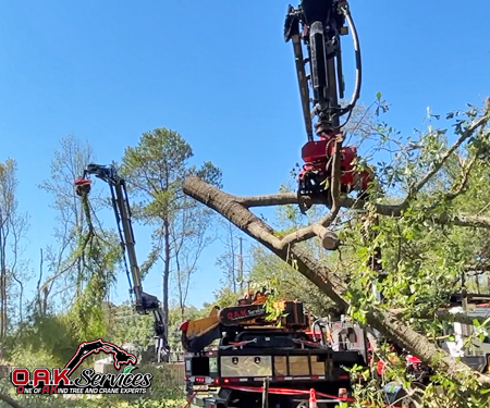 SENNEBOGEN Tree Removal Machine