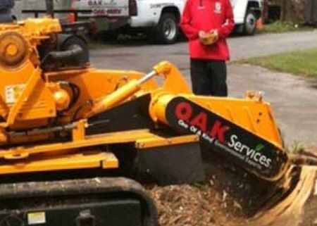 Tree Stump Grinder Aiken SC