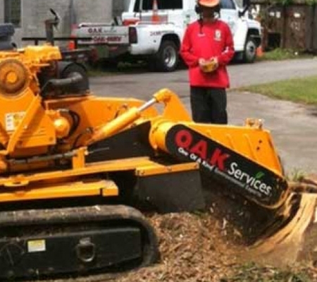 Tree Stump Grinder Aiken SC