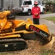 Tree Stump Grinder Aiken SC