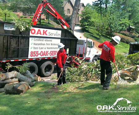 disaster relief tree services in Aiken, SC