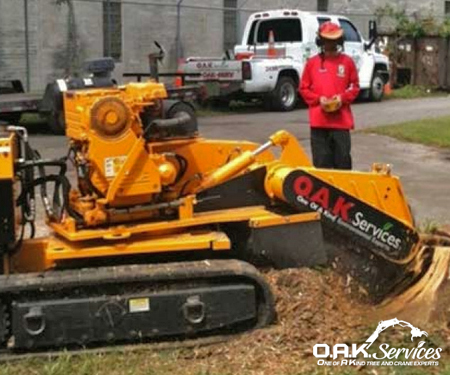 tree stump grinding services Aiken, SC